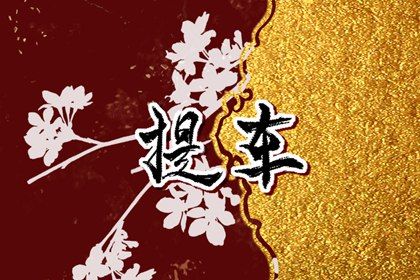 2024年农历九月二十是提车好日子吗 今日提车好不好