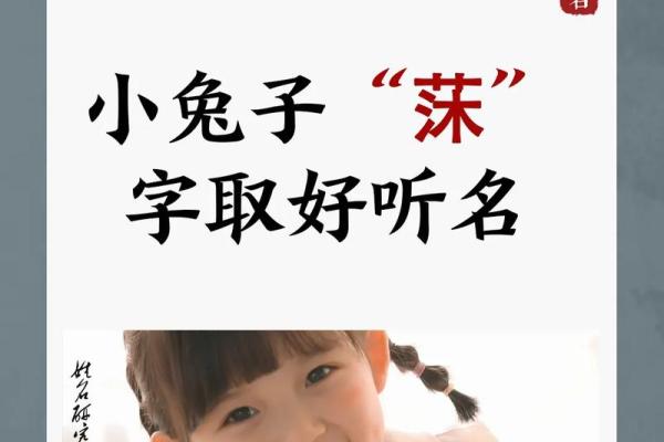 如何为羊年宝宝起个吉祥又独特的名字