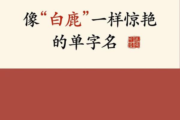 起个好名字助力企业成功：公司起名的黄金法则