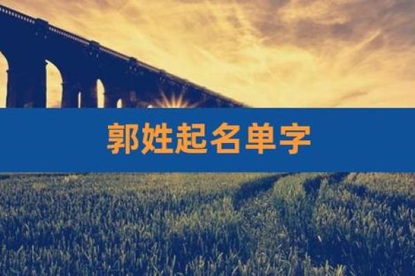 郭姓女孩取名大全：精选有寓意的名字