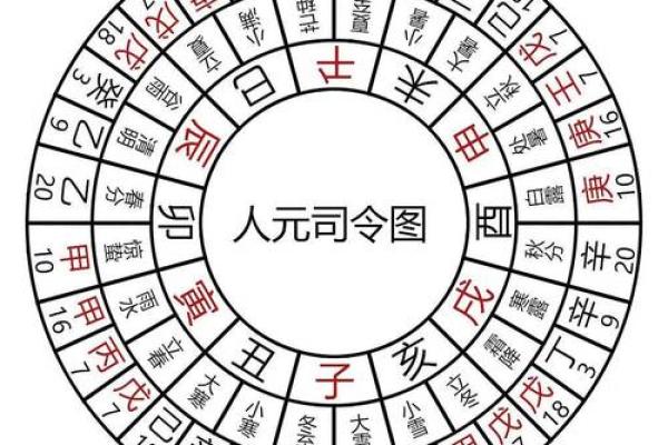 官星在地支中的作用与影响解析