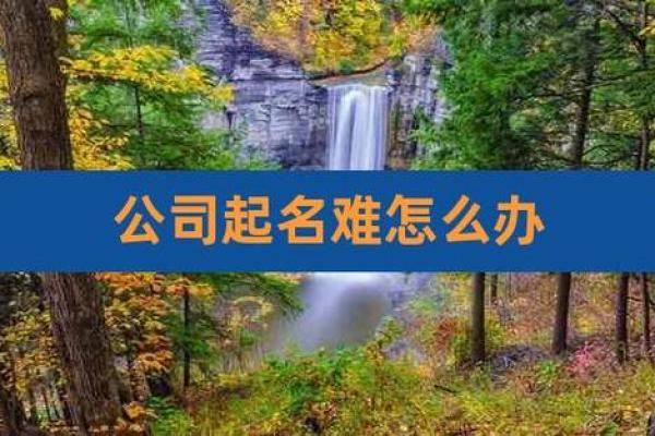 如何选择最可靠的起名公司排名及推荐机构