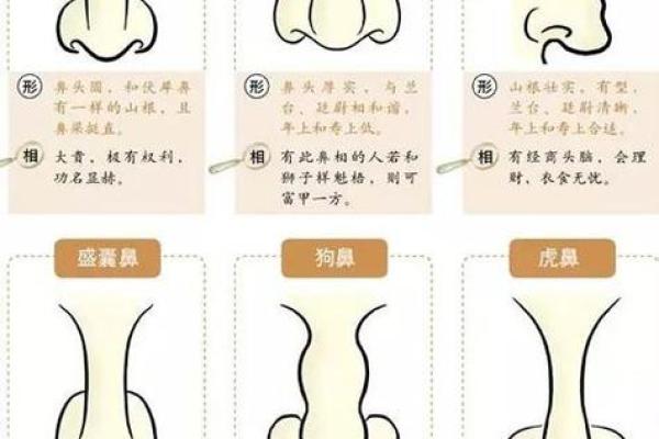 揭示有福气女人的面相特征和运势变化