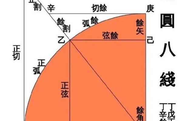 从名字到符号：了解命名的历史与演变