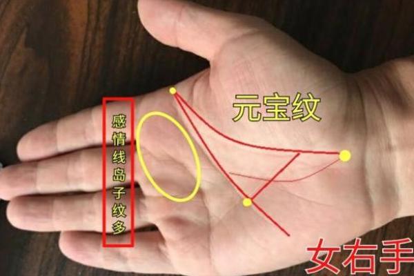 掌握女士手相中的关键线条，预测人生轨迹