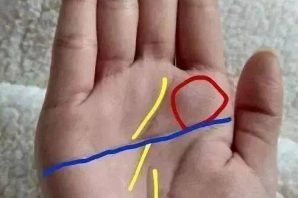 掌握女士手相中的关键线条，预测人生轨迹