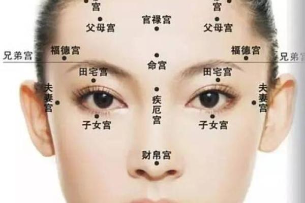 面相学中的眼睛解读：眼睛形态与人生走向的秘密