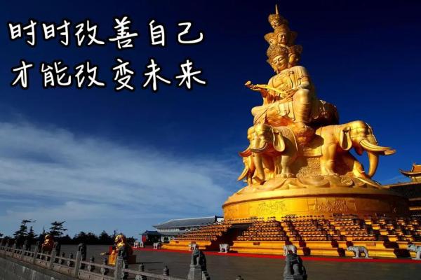 命免费算命网：揭示命运玄机，免费测试你的未来