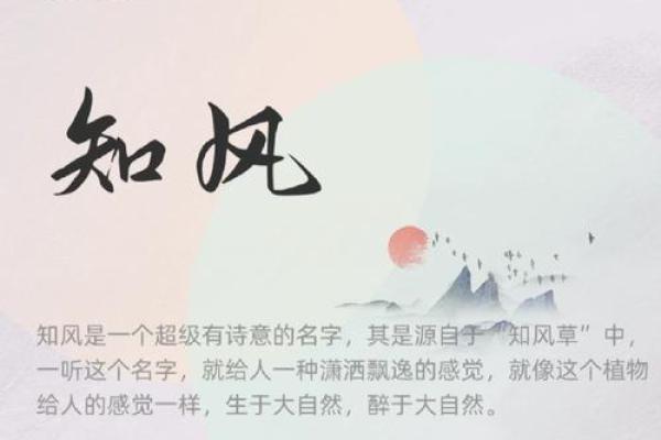 橙字取名寓意深远，赋予名字独特魅力