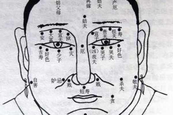 麻衣痣相解析：从面相看命运与性格的深层含义