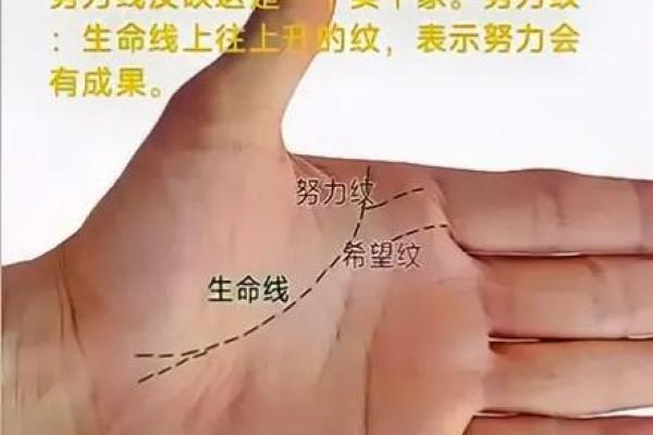如何通过男人手相看出性格与未来发展
