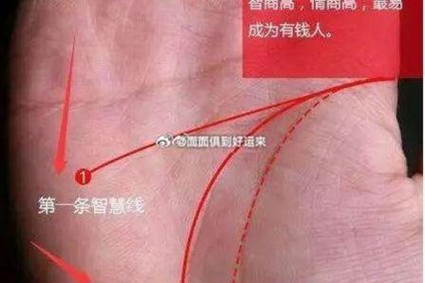如何通过男人手相看出性格与未来发展