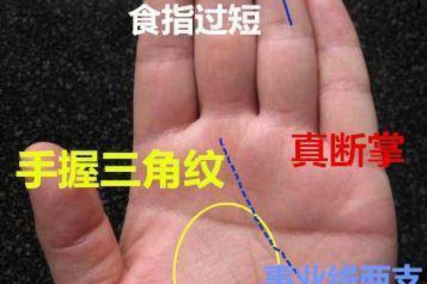 男人手相的独特符号与心理特征
