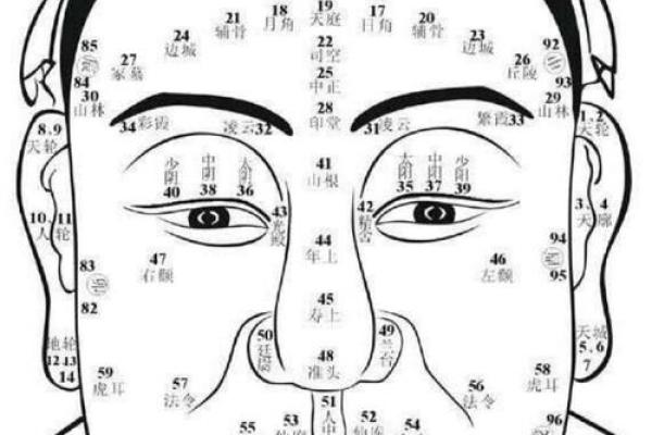 命理对个人运势的深远影响与解析