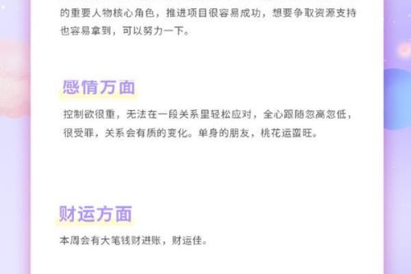 办公室台风水布置技巧助力职场运势提升