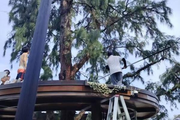 办公室台风水布置技巧助力职场运势提升