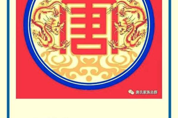 唐姓男孩女孩起名策略，传承家族文化与个人特色