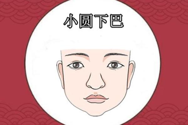 下巴短的面相解析：女性气质与命运的潜在关系
