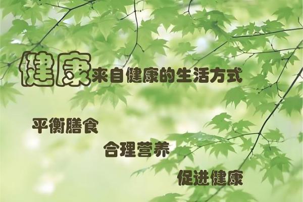 节日的起源与演变：从古老传统到现代狂欢