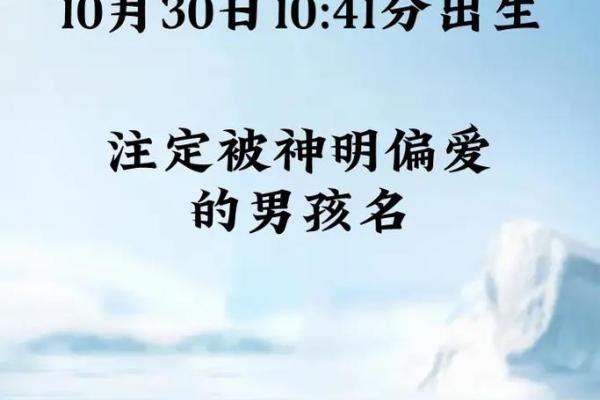 熊姓命名文化解析：为熊姓宝宝选名时需注意的五大要点