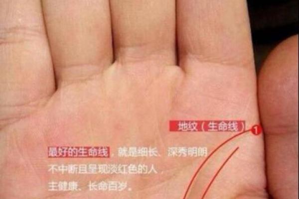 细读女士手相中的幸福与挑战