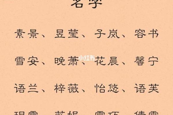 马年宝宝命名指南：结合生肖特性选名字