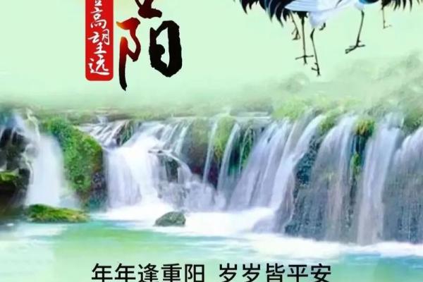 重阳节的深远意义：为何九月九成为敬老节