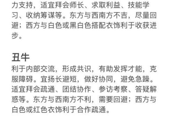 全网最准的八字命理，带你读懂未来运势