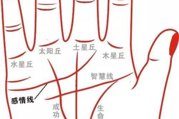 男士手相图解大全：感情线解析与性格关联