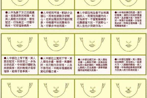 下巴短的面相有什么含义？揭开面部特征的秘密