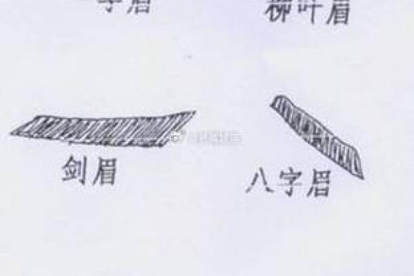 富贵面相揭秘：如何通过面相看出财富潜力