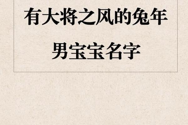 猴宝宝名字推荐：传统与现代相结合的完美选择