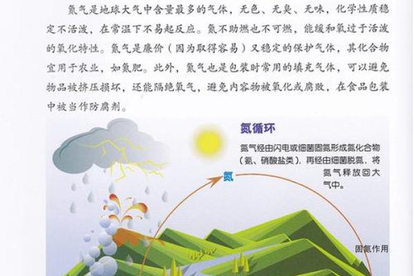 理的奥秘与现代生活的关系