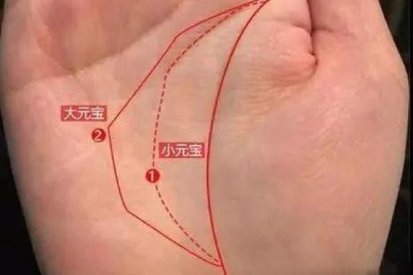 虎吃龙手相真的会带来贫穷命运吗