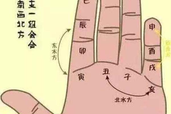 虎吃龙手相真的会带来贫穷命运吗