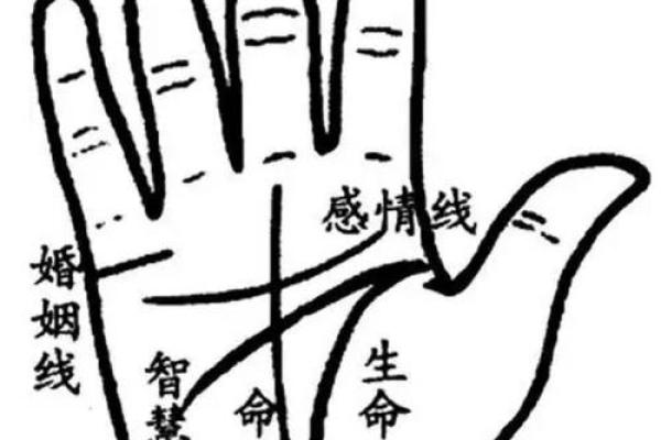 生命线短的人真的会早死吗？手相学揭示真相