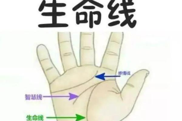 生命线短的人真的会早死吗？手相学揭示真相