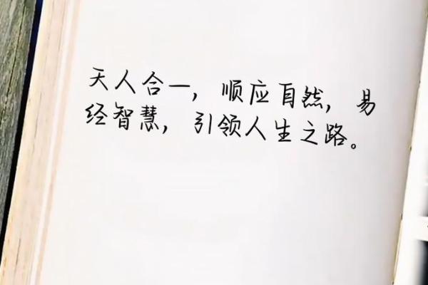 免费易经测算为你揭示人生轨迹