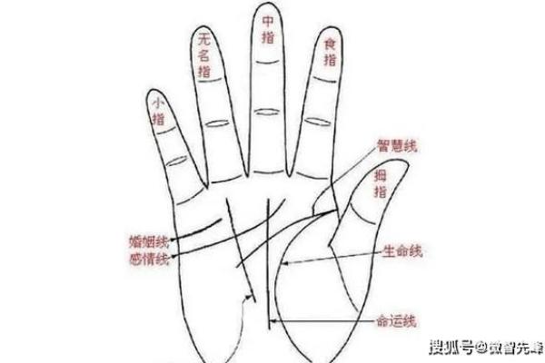 女性看手相应关注哪只手的秘密解析