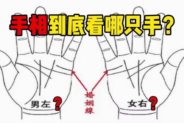 女性看手相应关注哪只手的秘密解析