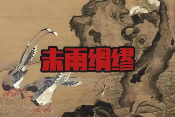 从梦到大雨看人生的转折与挑战