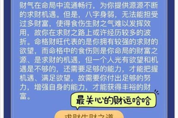 免费查询生辰八字，了解命运与运势分析