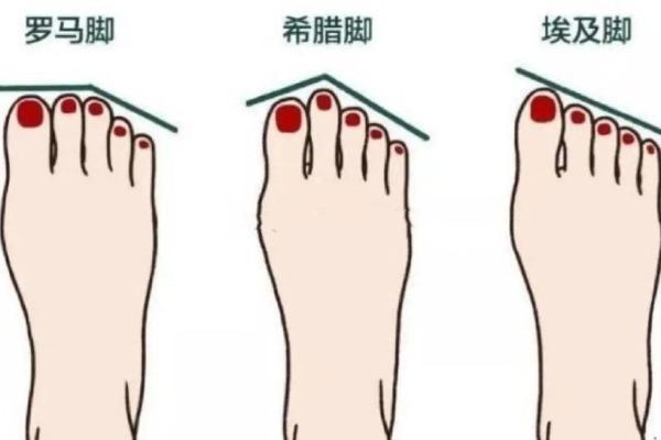 脚型暗示命运：从脚的特征看你的性格与运势