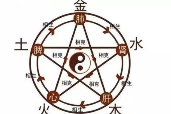 力字五行属什么解析与深度分析