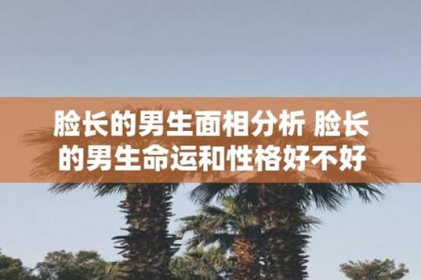 毛面相的独特解读：从面部特征看性格与命运