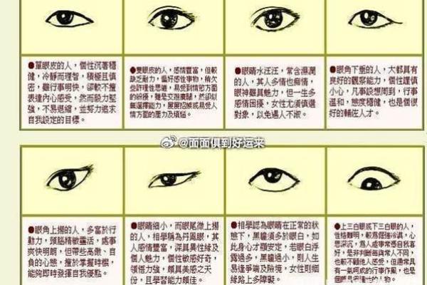 毛面相的独特解读：从面部特征看性格与命运