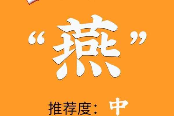 寓意深远的字让名字更具独特魅力