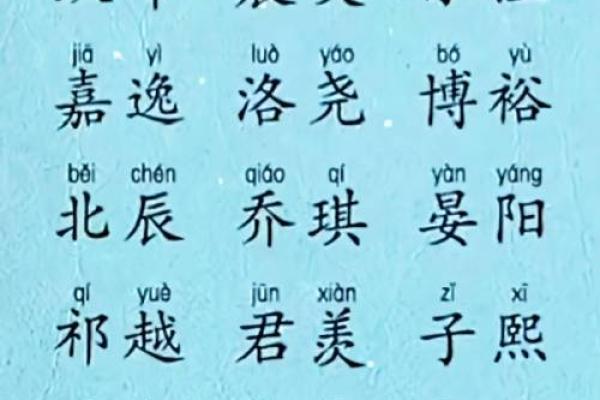 适合羊年出生宝宝的名字推荐与注意事项