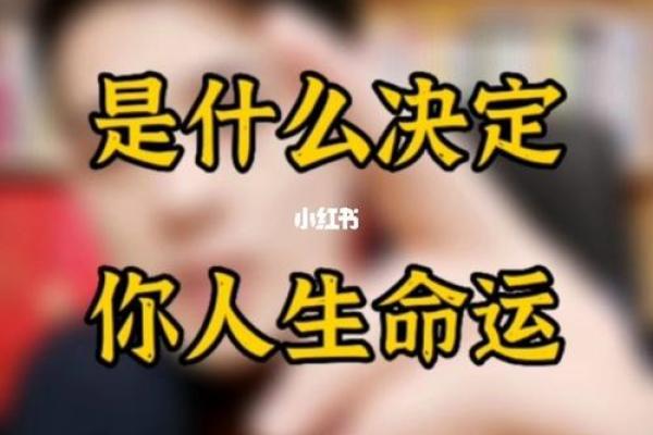 命理宝鉴：揭开命运的神秘面纱，探索人生的深层密码