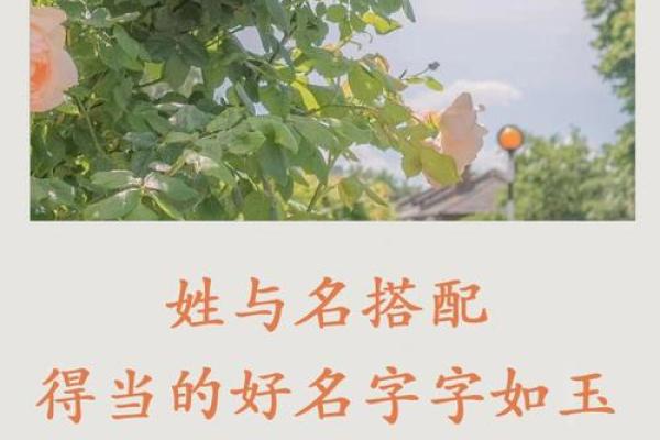 泽宇名字寓意解析与评分，了解这个名字的独特魅力
